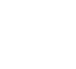 Bali Premium Villa Logo